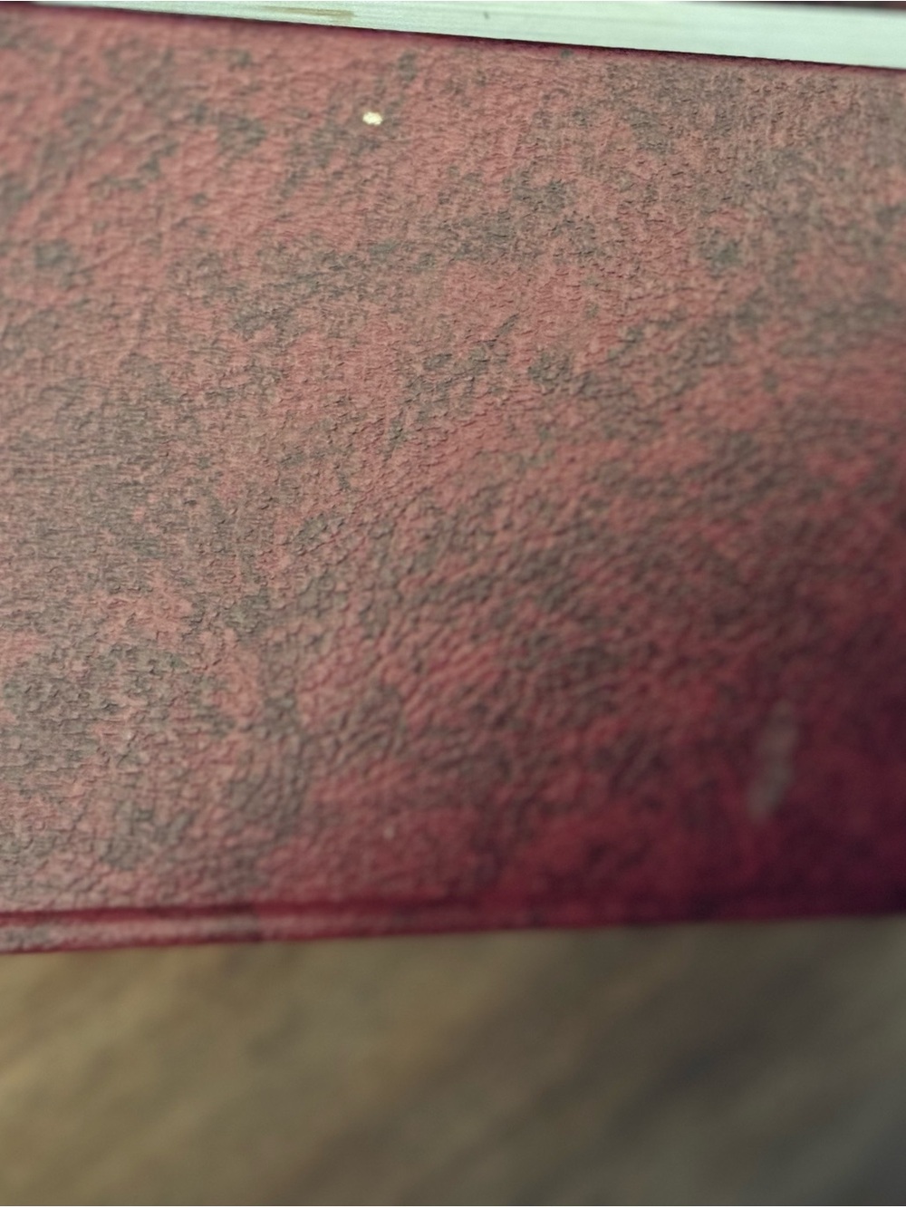 Holy Bible - The New American Bible - Picture 6 of 11